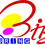 bibi-logo-ploiesti