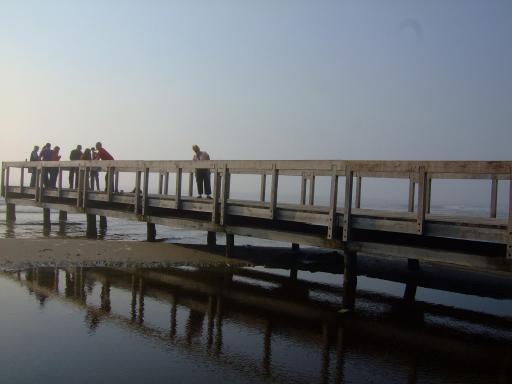 delta-dunarii-2011-sulina-plaja