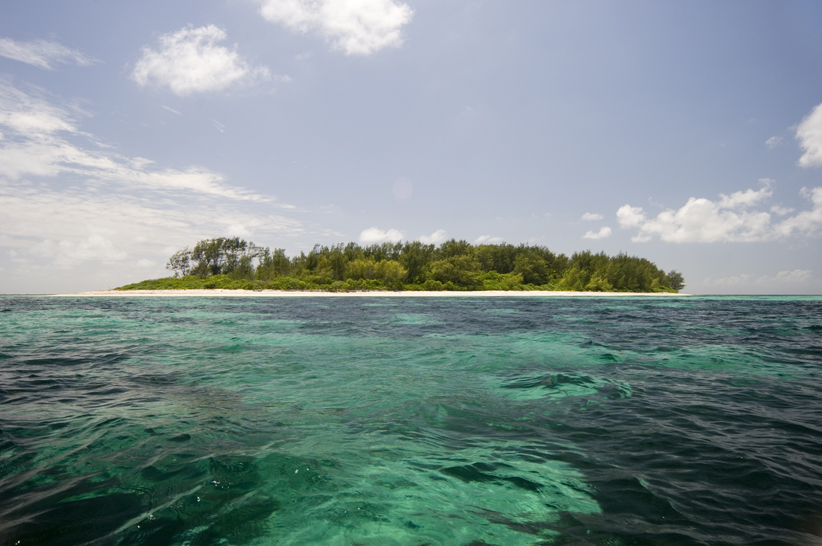 Outer Coral Island_Chris Close