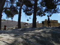 Palatul Knossos copaci