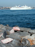 Istanbul marea marmara